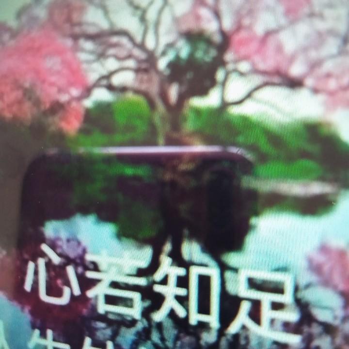 乐乐姐