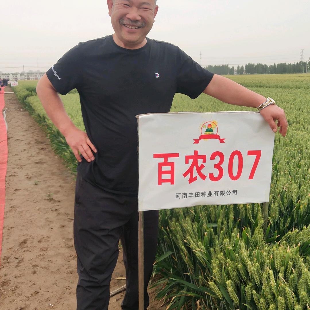 马淼种植专业合作社