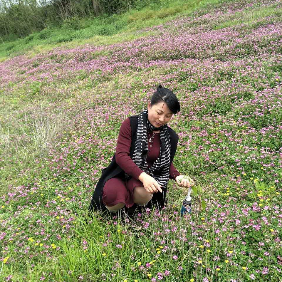 潮阳甄选