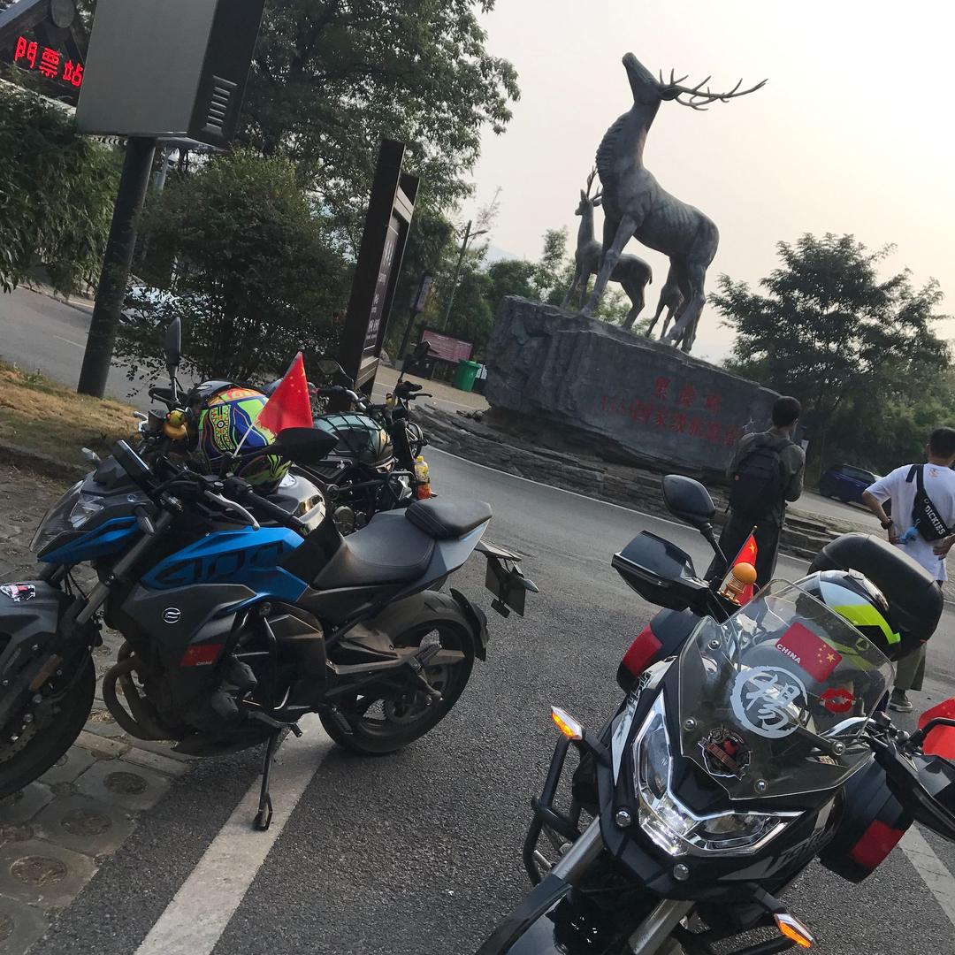 牛马杨～勇哆哆🐮🐴🐏