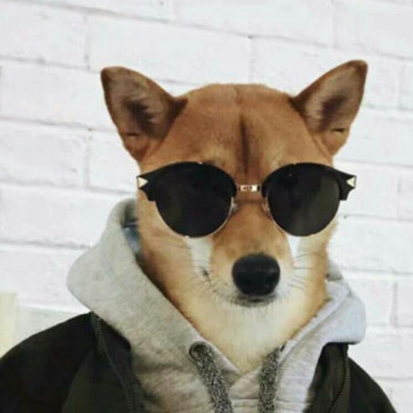七舅