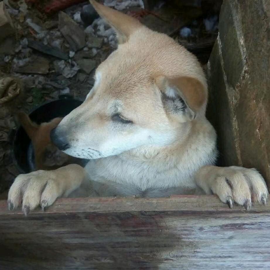 喔活