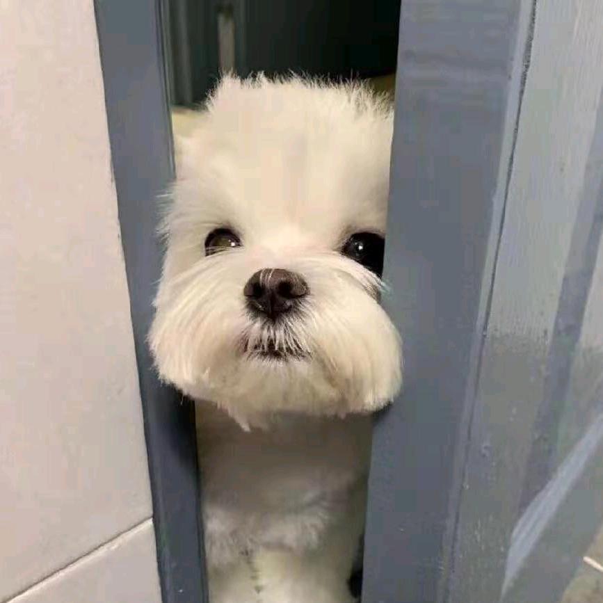 🌈🌈筱晨🌈🌈