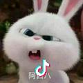 今生无悔