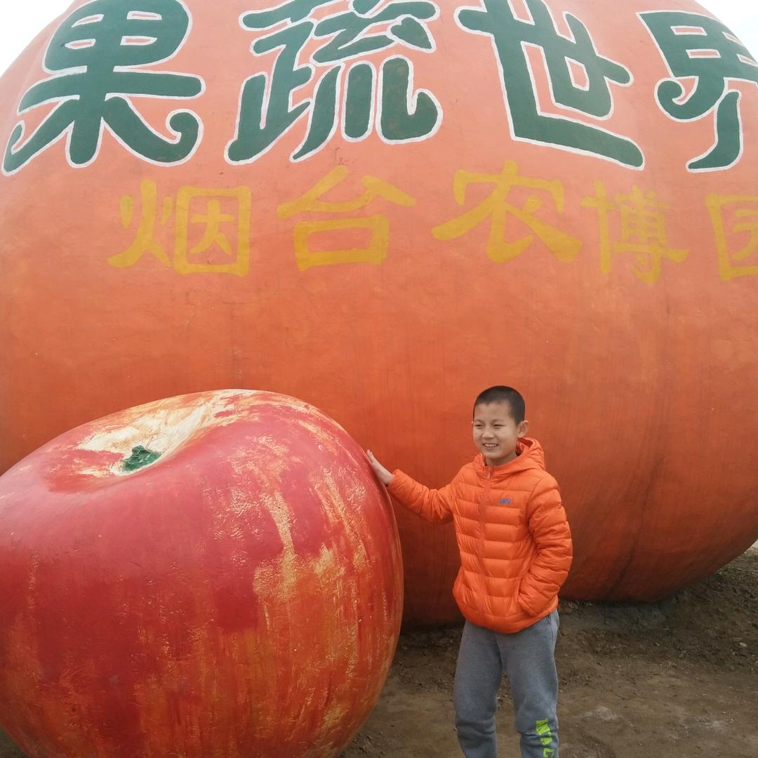 忆往昔