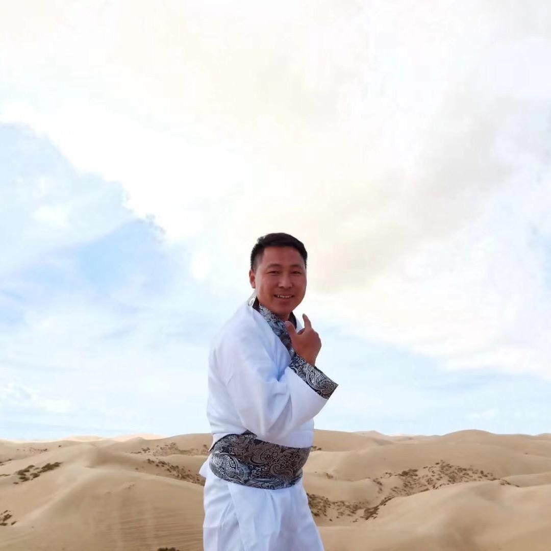 南充大伟二手车