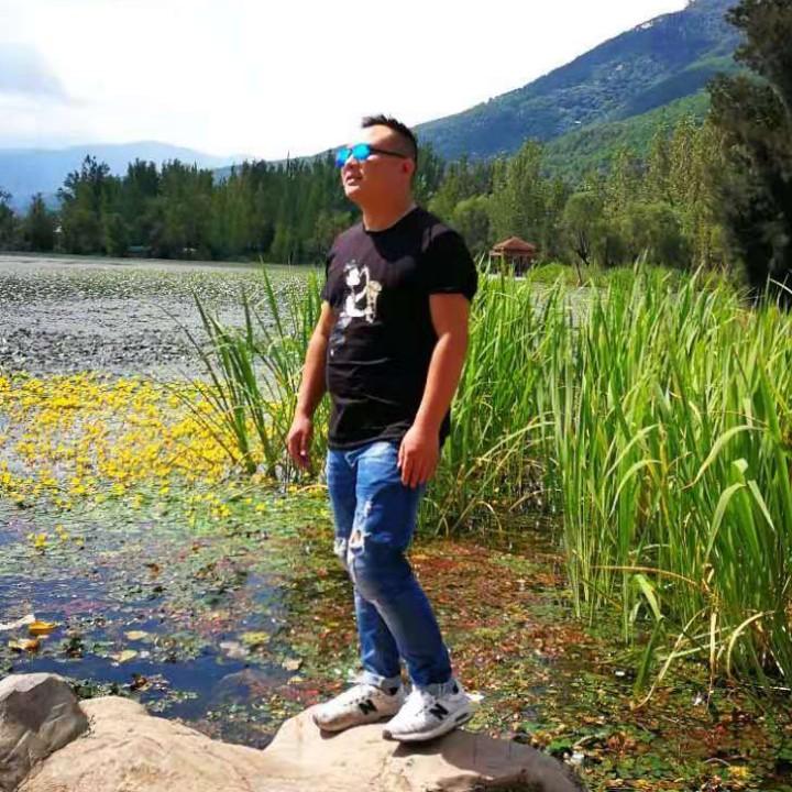 从新开始（杨）🐰