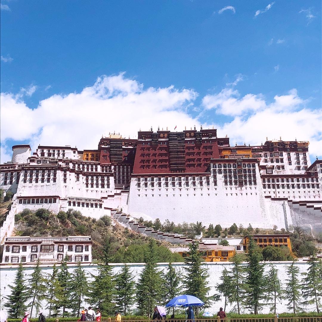 专业家具维修补漆，专业美缝