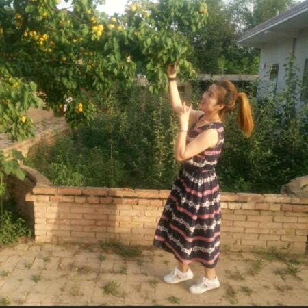 笨(´▽｀)ノ♪猪