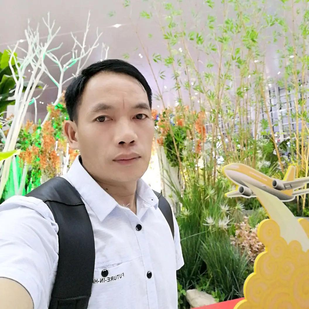 寻找真爱
