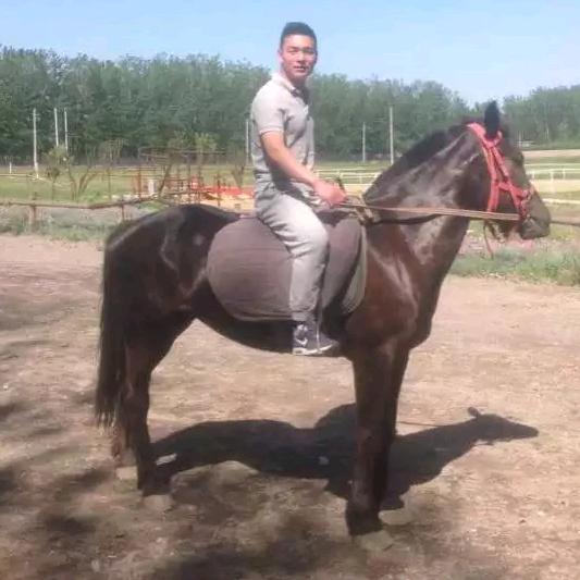 缘森木业（防腐木，防火门大小工程）