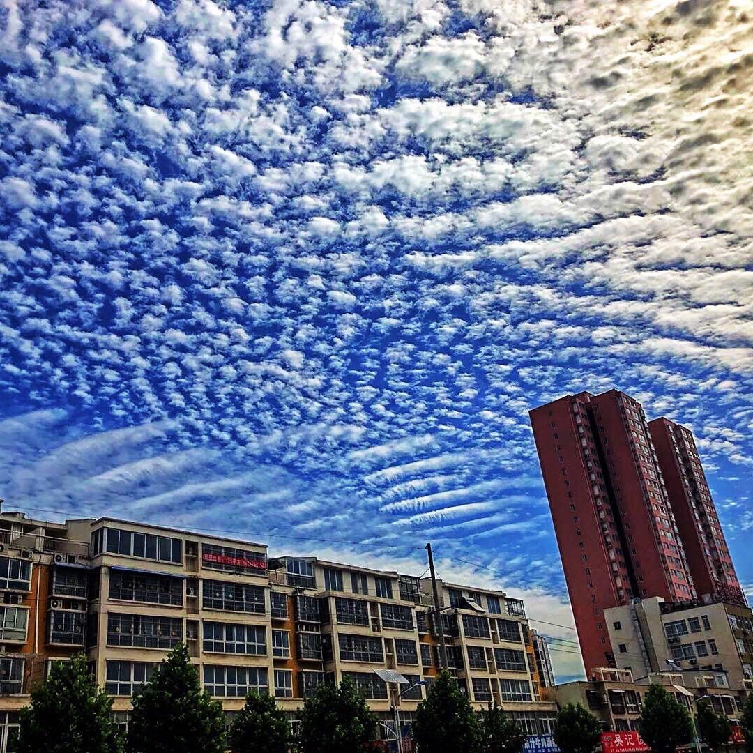 福 · 瑞轩