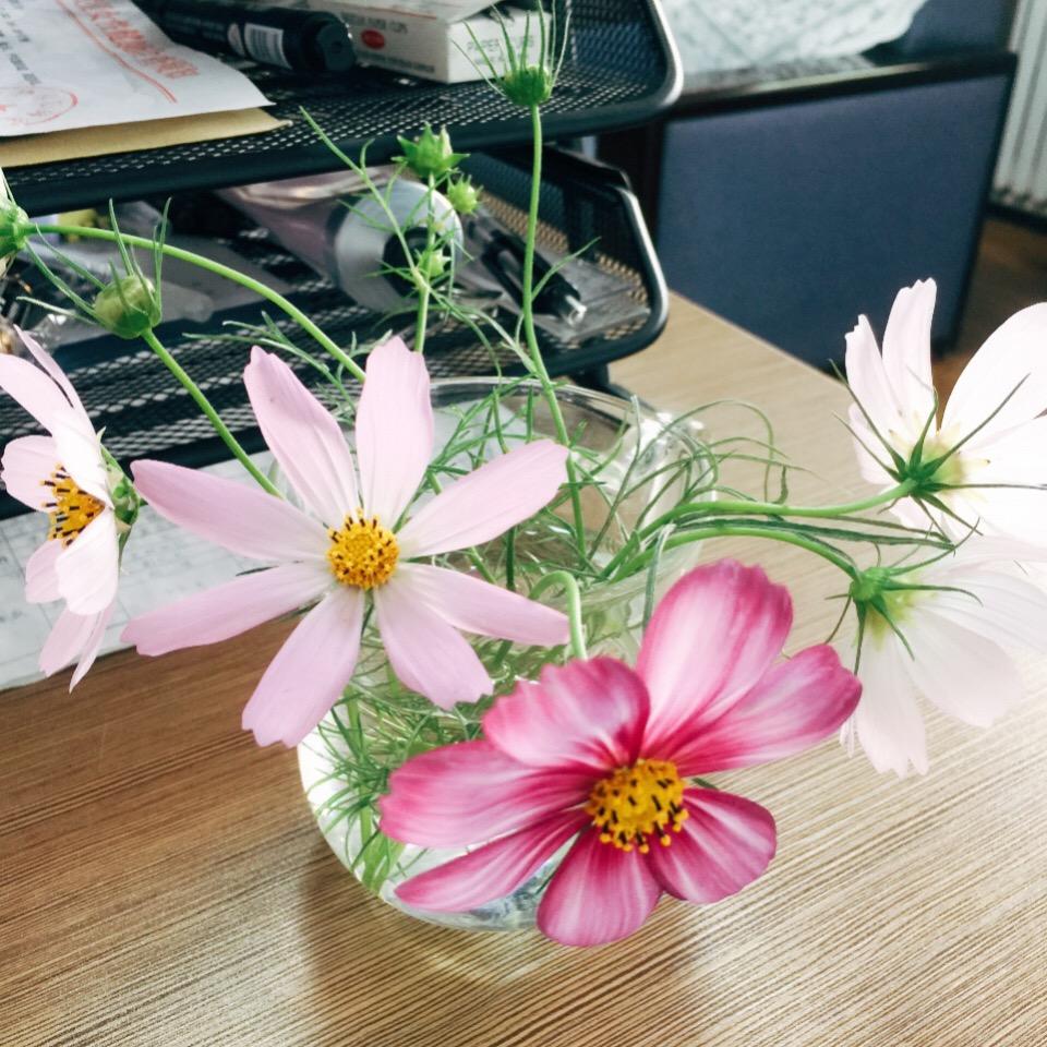 幸运的爱因斯坦嘉