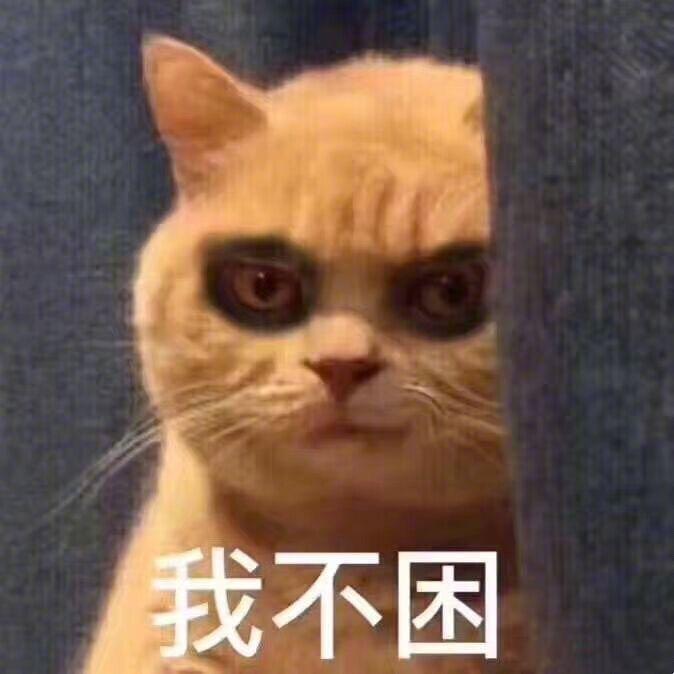 lena酱的大号