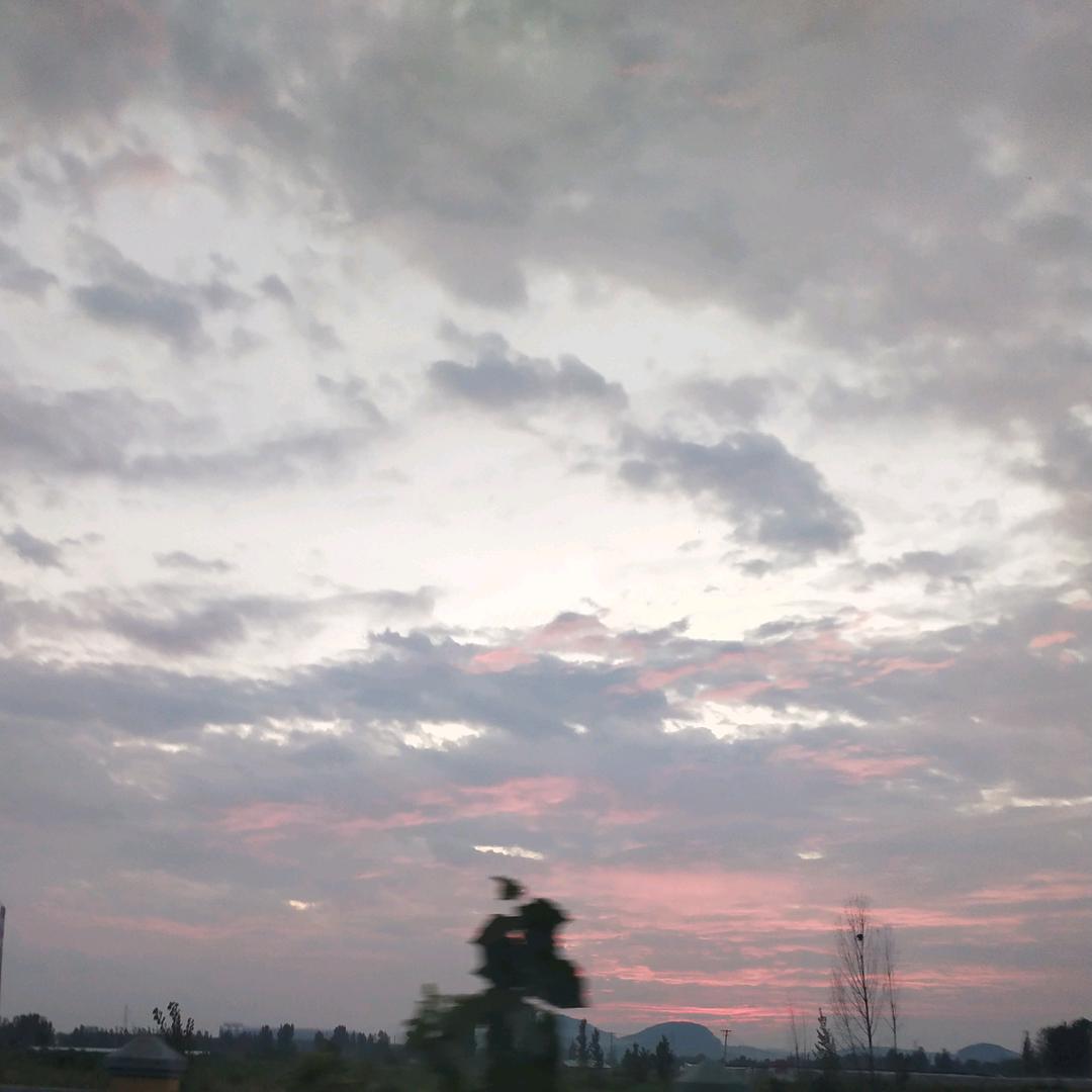 拗滞