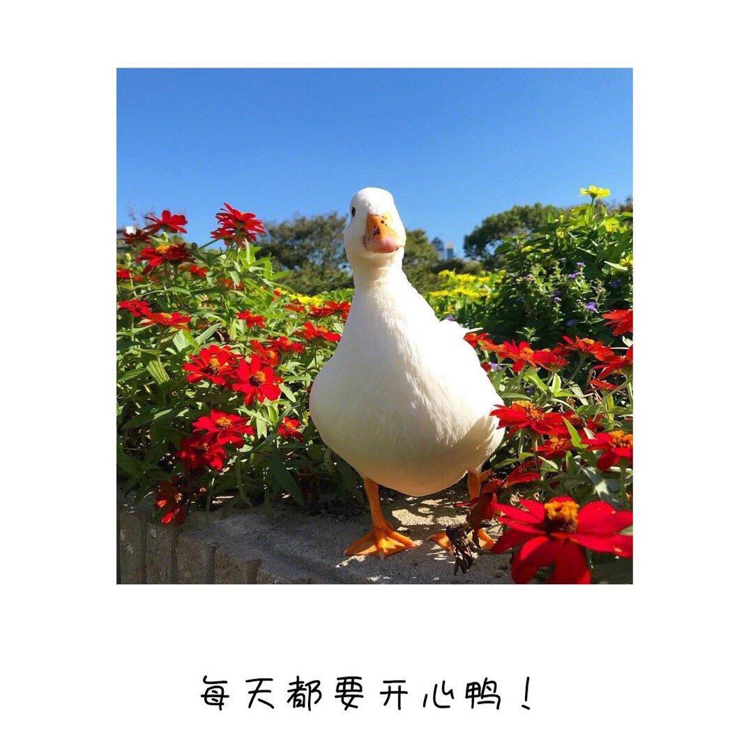 L.X.L