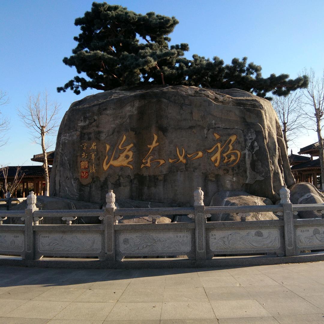 司机