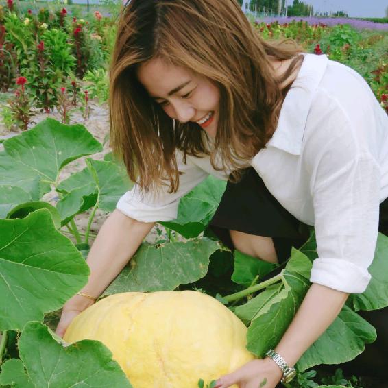 杨传勤