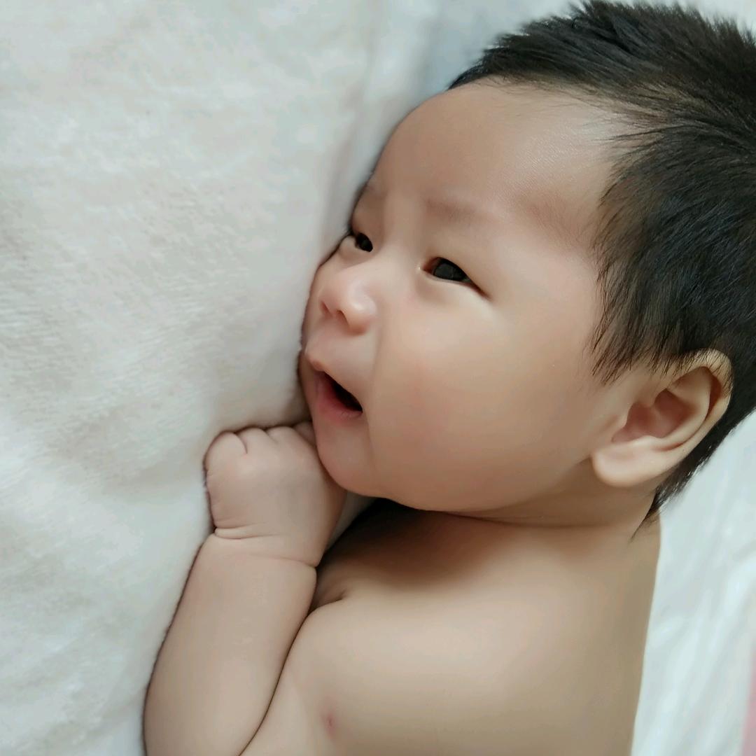 小鹿
