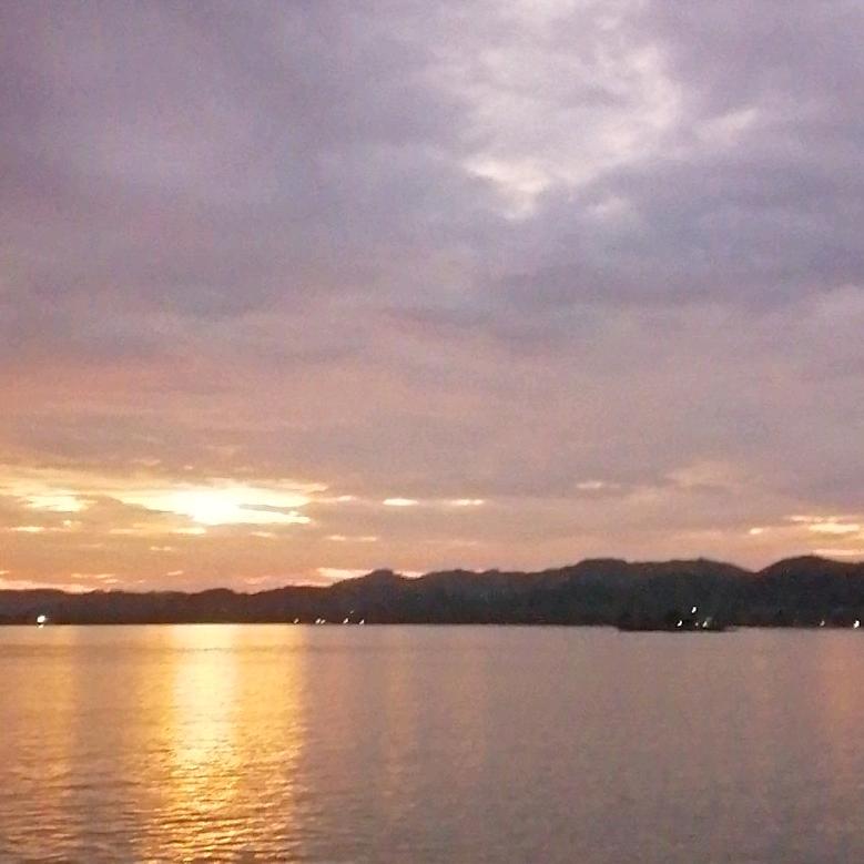 莲姐