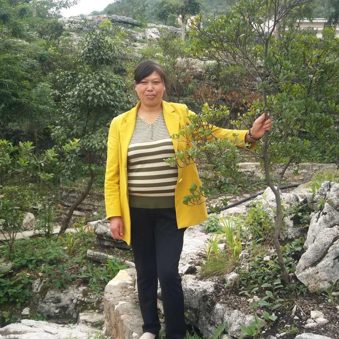 揽不住的风