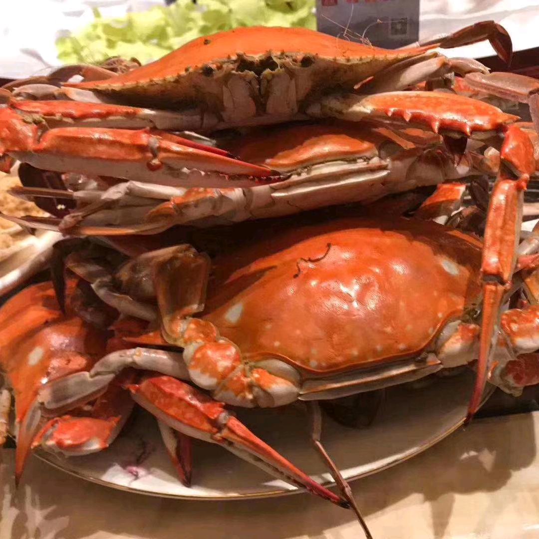 领鲜一家