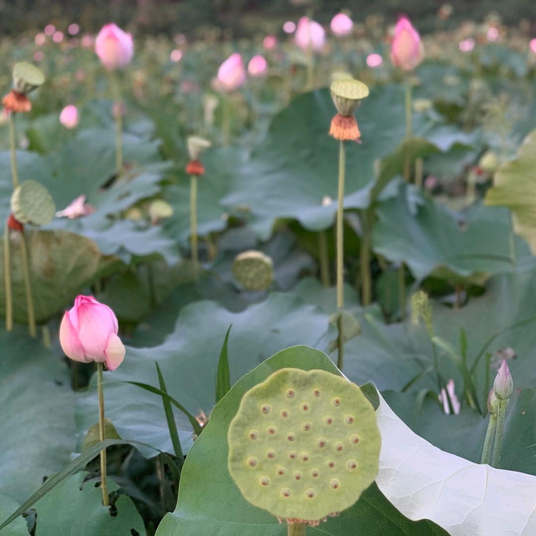 💞້໌ᮨ⃝好运ᥫᩣ໌້ᮨ加满✨