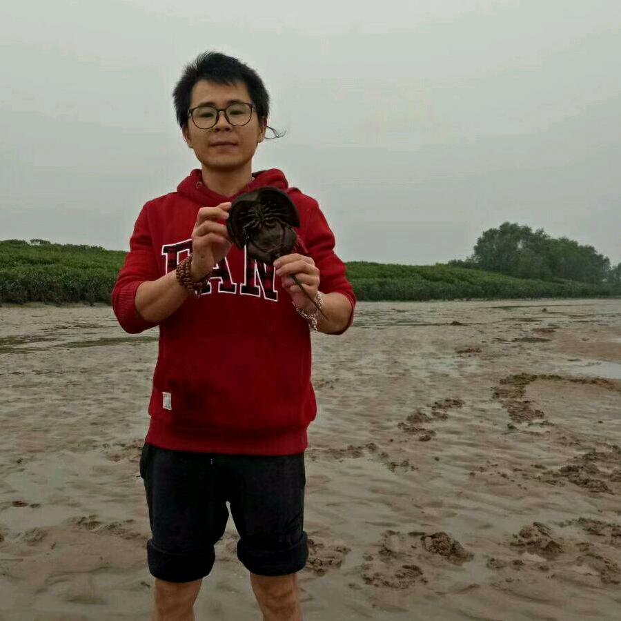 龙岗区蚝想你湛江美食店