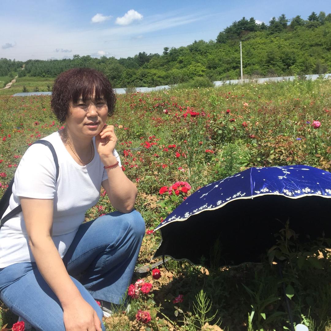花开花落
