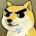 LQY