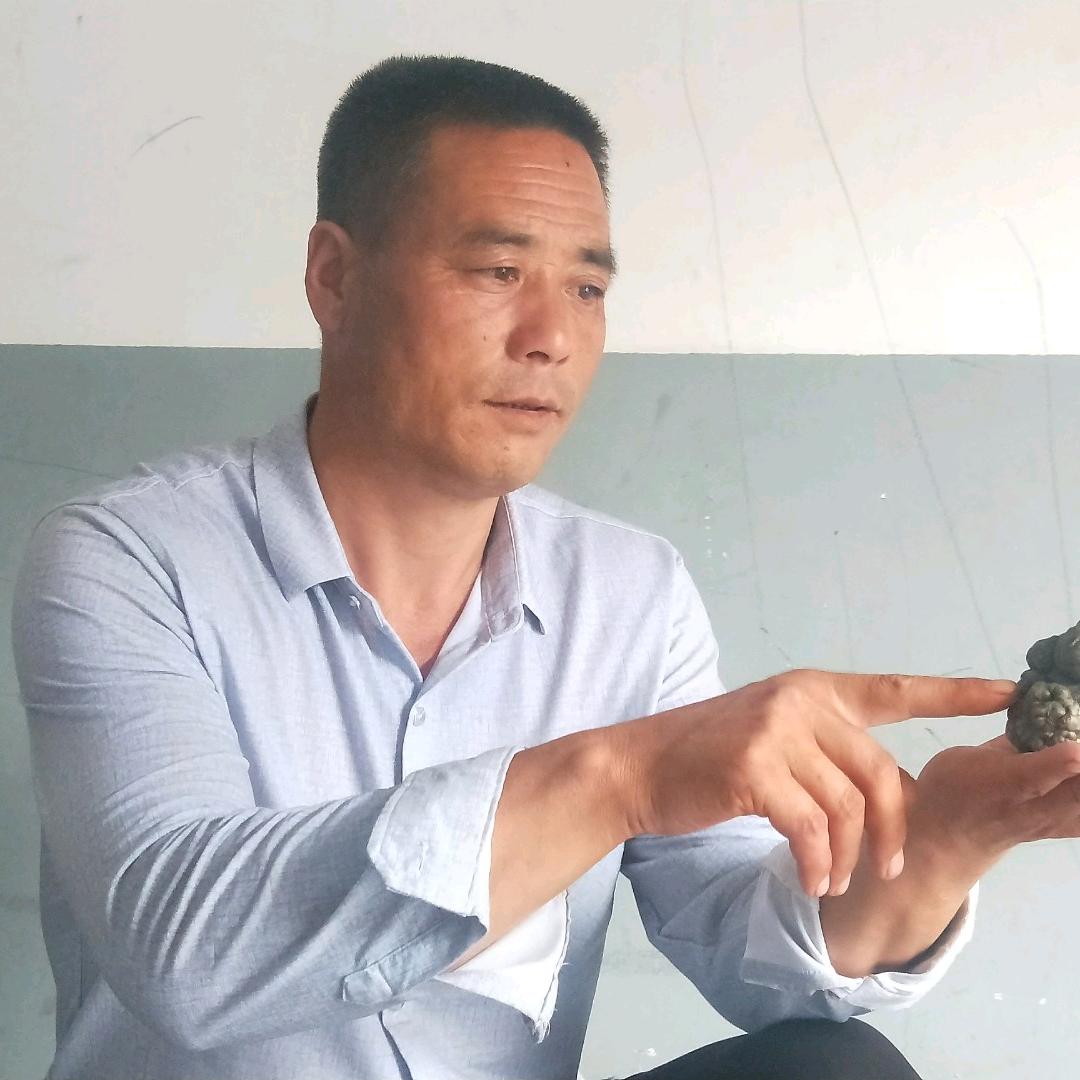 聚星堂