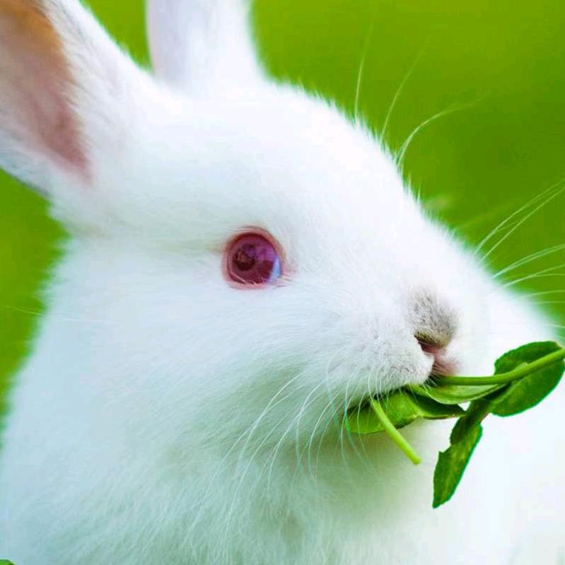 9.6冷藏     走天涯