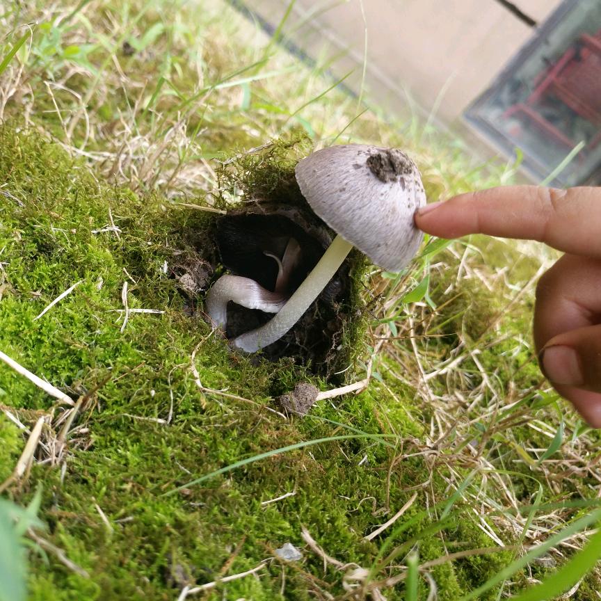 加油小悦悦～