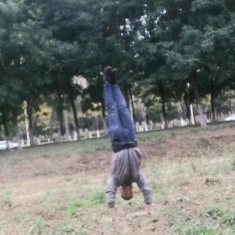 猛龙过江