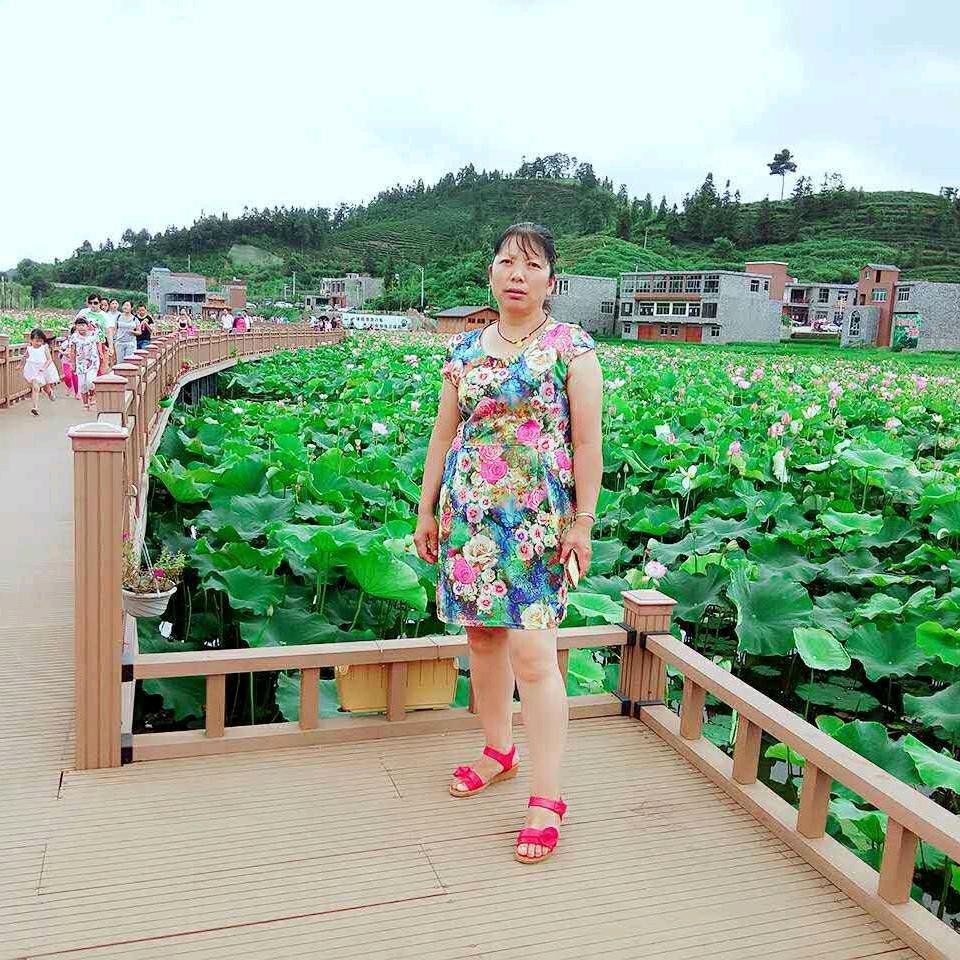 杨三姐