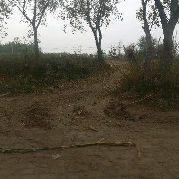 梦想天是蓝蓝的