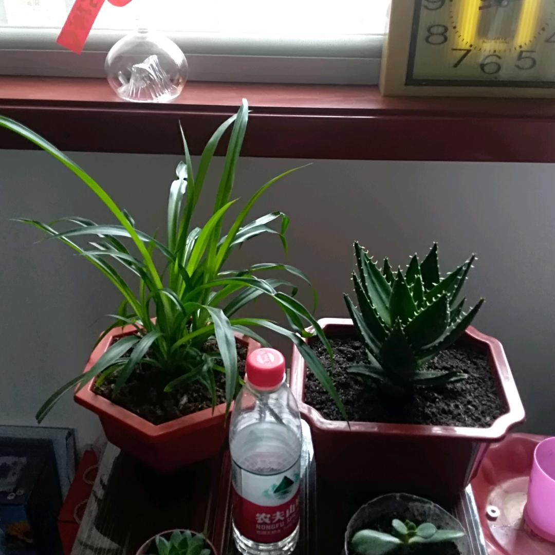 知足&常乐