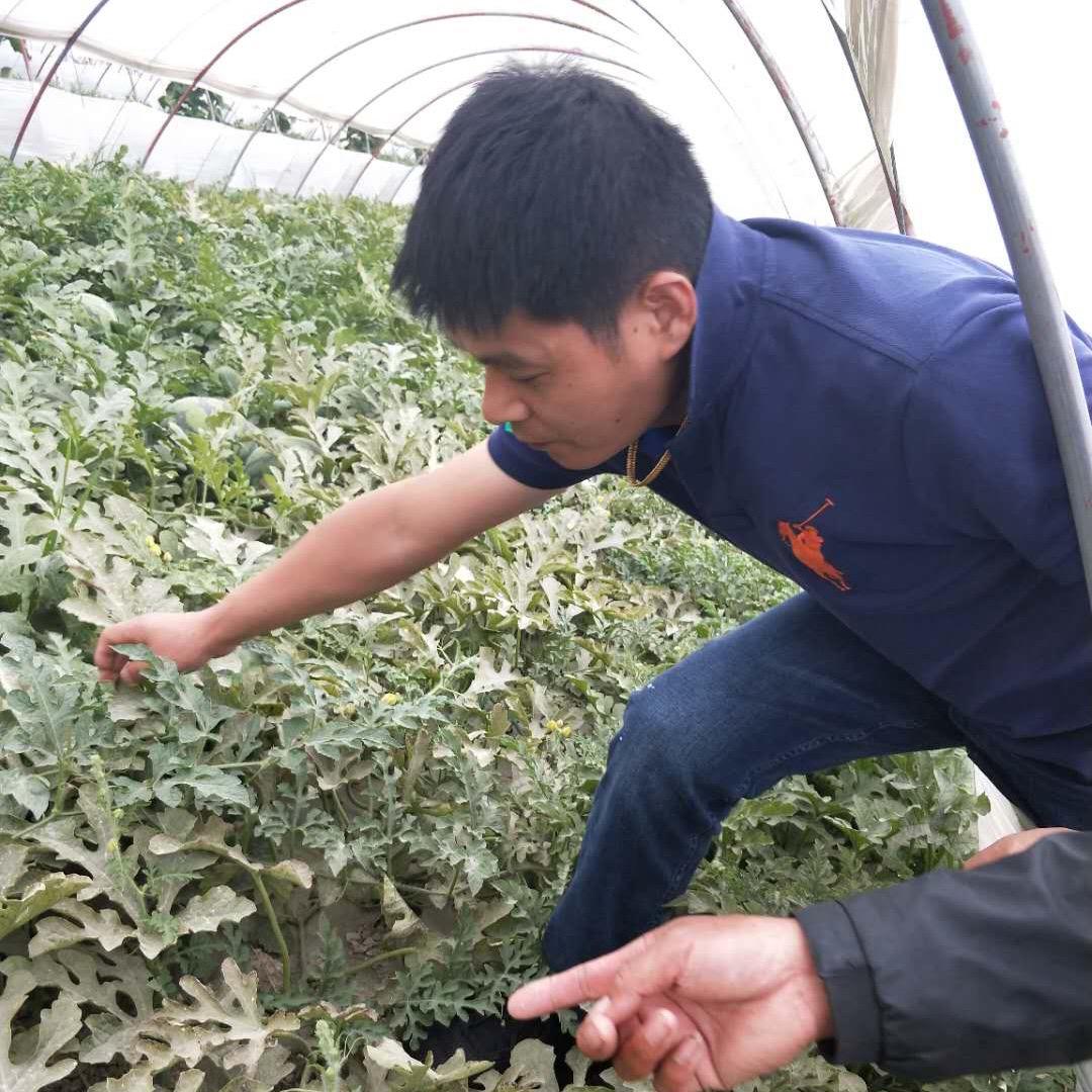 别说我帅