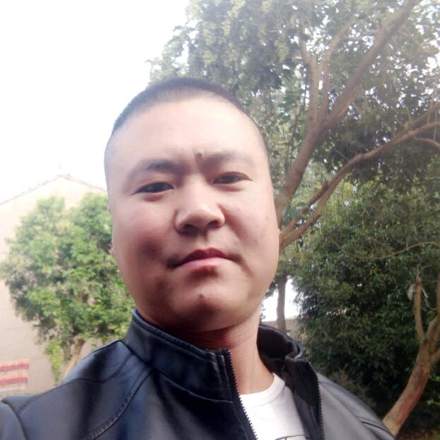 东风飞扬