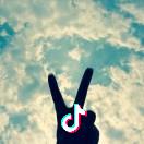 业✌