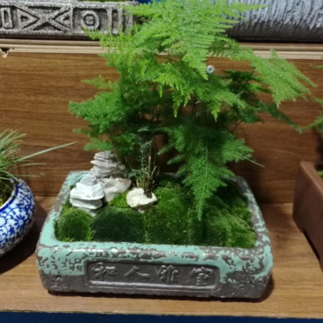写意园艺
