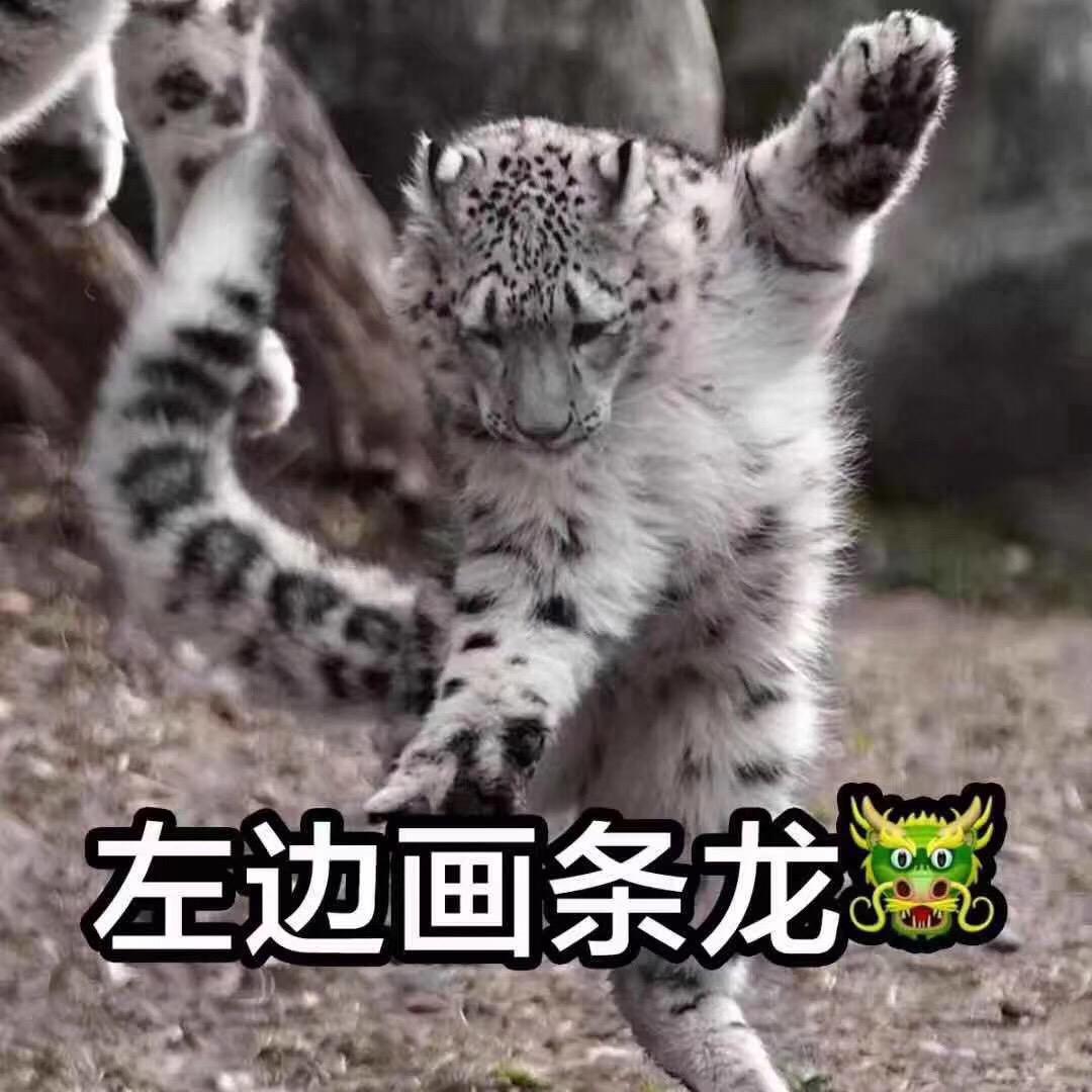 剧毒术士-琴阿飘