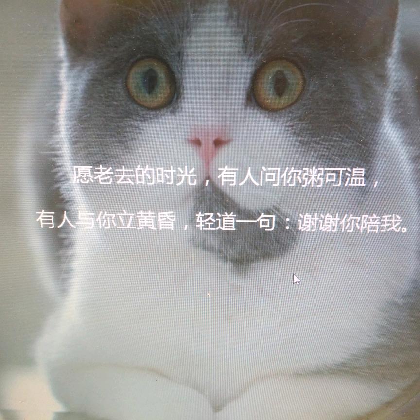 秋天