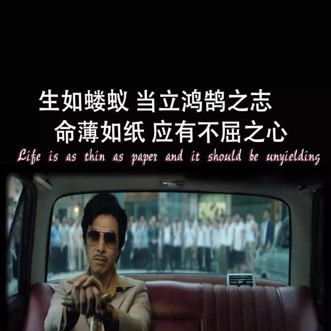 冷月魄