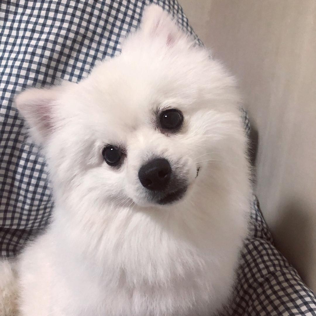 강阿吉