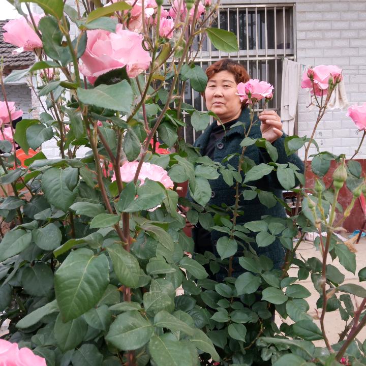 王玉德