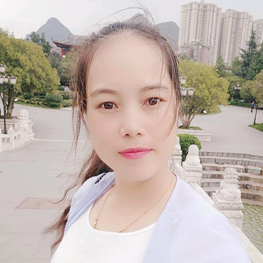 百度都收不到燕子的苦