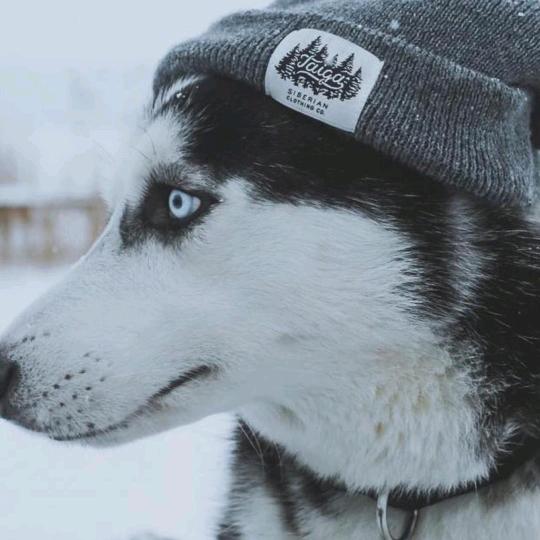 ·Y·