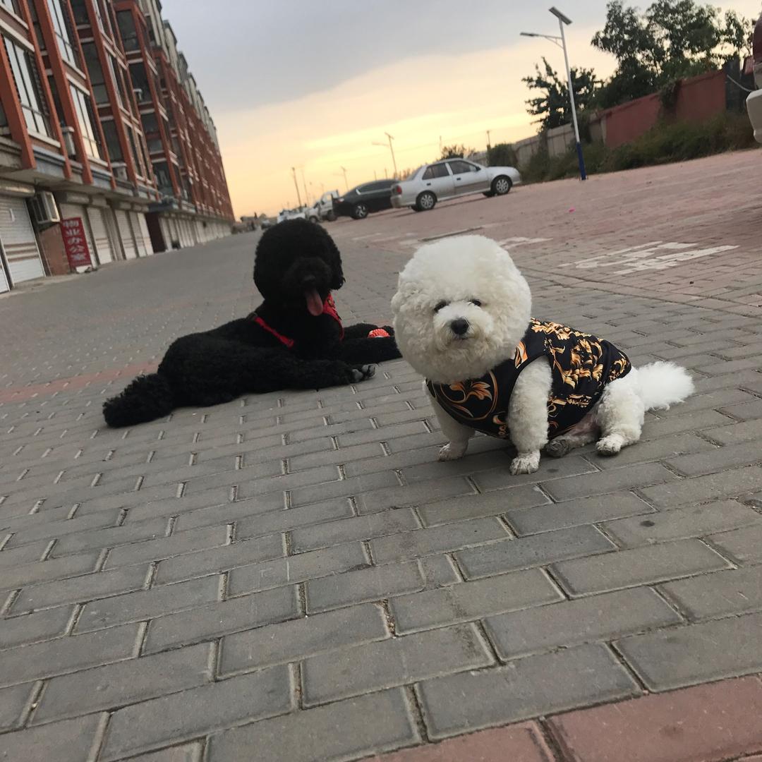 ꧁꫞🇨🇳꯭ 大宝@二宝🇨🇳 ꫞꧂