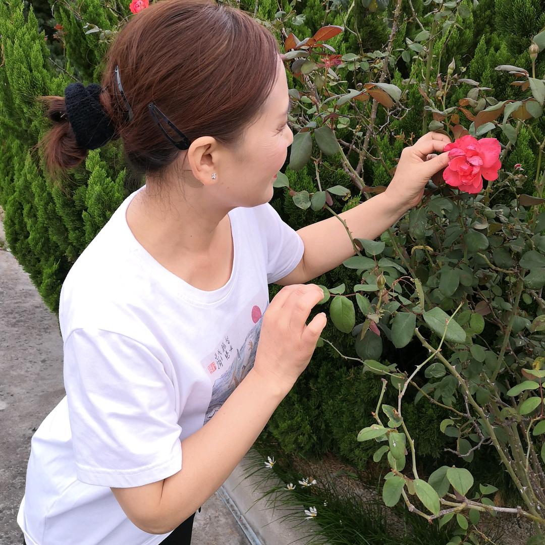 兰花草🍁